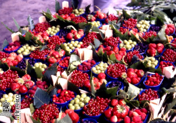 Composiciones frutales - Fruit arrangement - Composicions frutais >> Composiciones Frutales - Frutos rojos.jpg